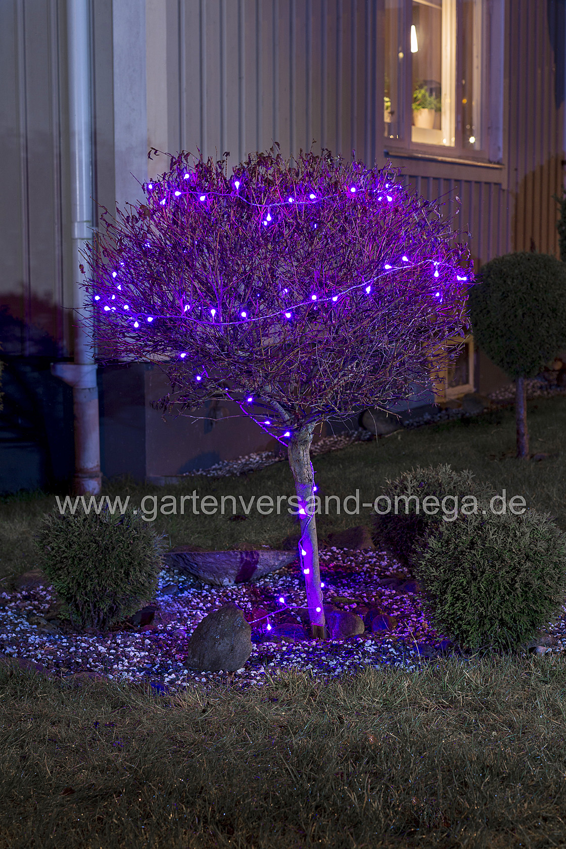 LED Kugellichterkette mit Rot-Blau-Farbwechsel im Einsatz